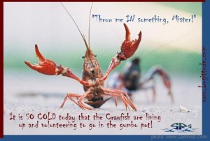 Logittude of a cold crawfish